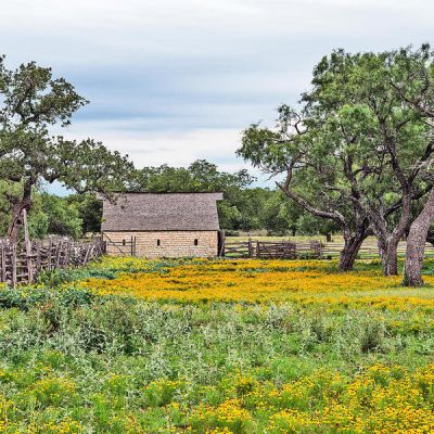 Carol Highsmith Texas Wildflowers: Barn in Johnson City