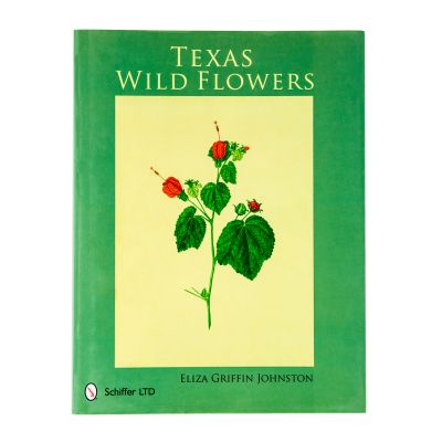 Texas Wild Flowers