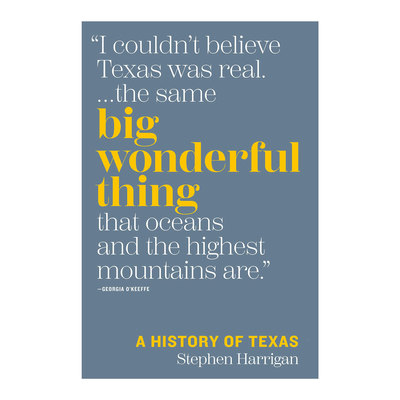 Big Wonderful Thing: A History of Texas