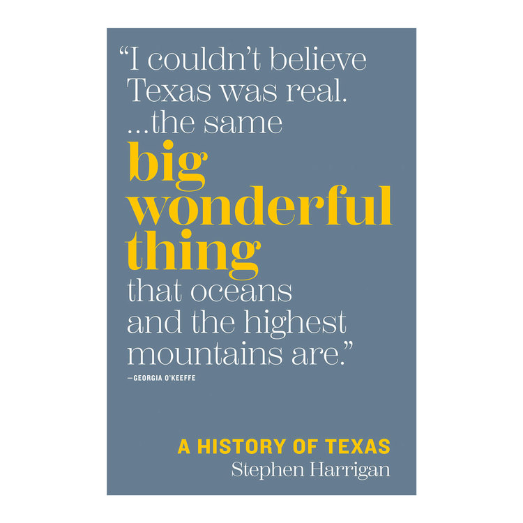 Big Wonderful Thing: A History of Texas