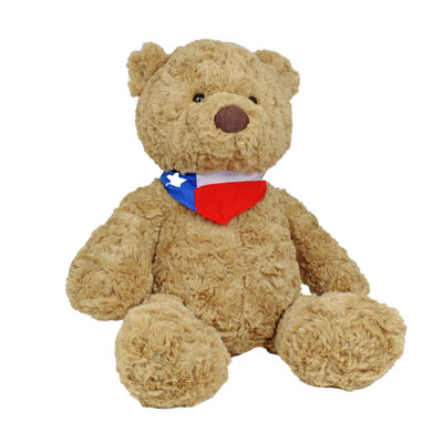 Texas Teddy Bear