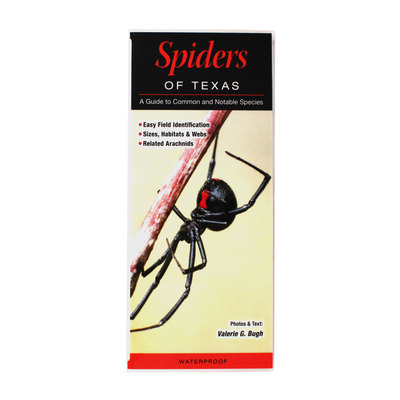 Spiders of Texas Reference Guide