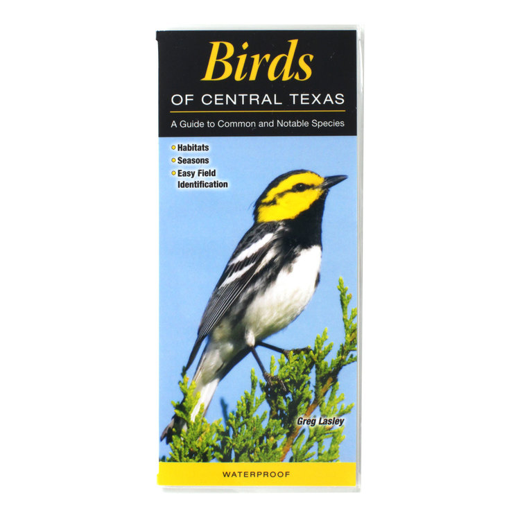 Birds of Central Texas Reference Guide