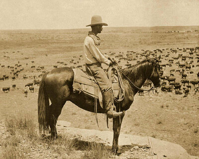 Erwin Evans Smith A Texas Cowboy, 1907