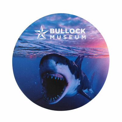 Bullock Shark Sticker