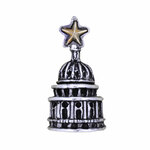 Texas Capitol Lapel Pin