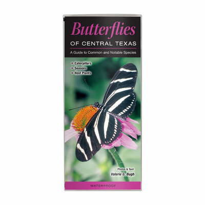 Butterflies of Central Texas