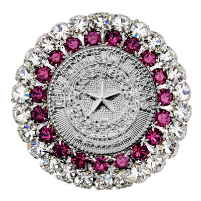 Texas State Seal Silver and Amethyst Brooch