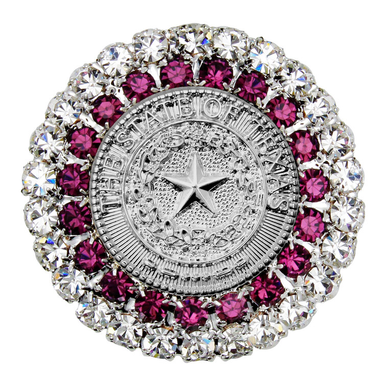 Texas State Seal Silver and Amethyst Brooch