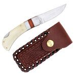 Buck Knife and Leather Holster
